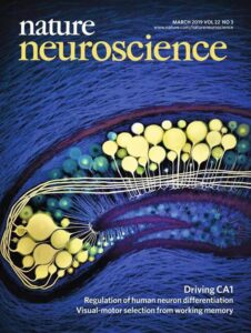 Журнал «Nature Neuroscience»